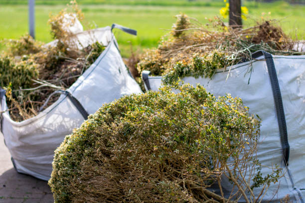 Recycling Services for Junk in Springfield, IL